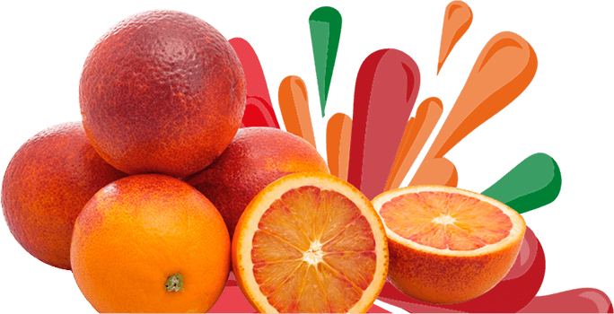 Bouquet Red - pruébala y exprime su color